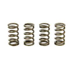 115lb 24v Cummins Valve Springs